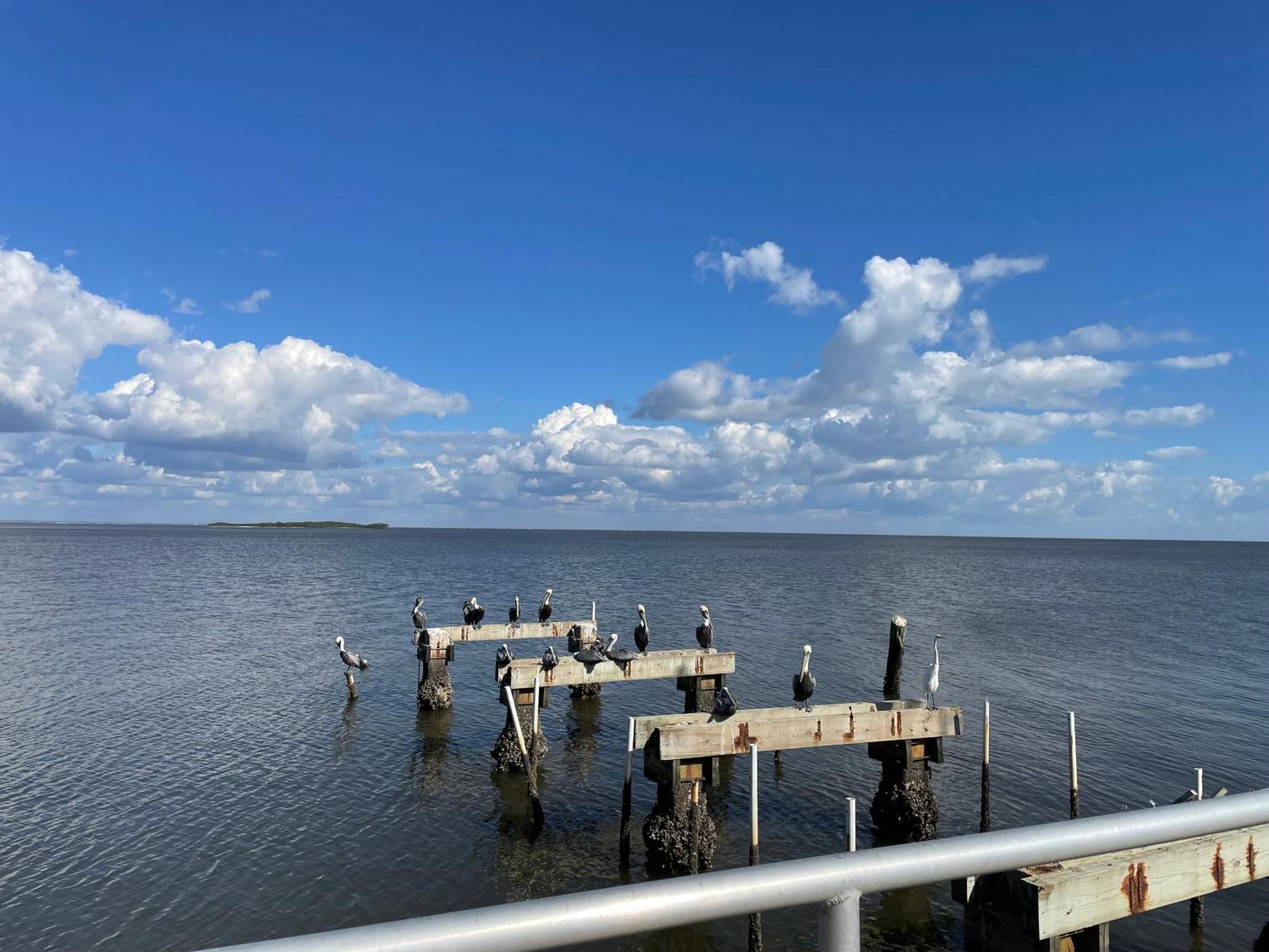 Cedar Key Florida Condo At Park Place מראה חיצוני תמונה